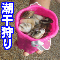 潮干狩り 蒲郡竹島海岸 愛知県蒲郡市 あさり 駐車場情報有り 今話題の気になる情報満載