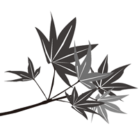 紅葉の白黒イラストを無料で使う方法 簡単に挿絵にも利用できる 今話題の気になる情報満載